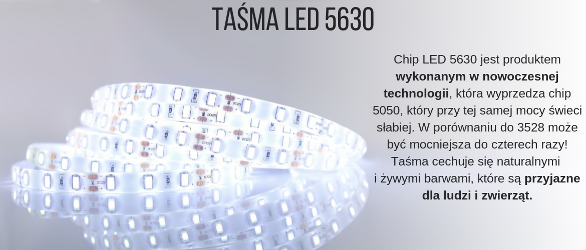 Chip LED 5630 jest produktem wykonanym w nowoczesnej technologii, która wyprzedza chip 5050, który przy tej samej mocy świeci słabiej.  W porównaniu do 3528 może być mocniejsza do sześciu razy! Taśma cechuje się wysokim współczynnikiem oddawania barw – oznacza to, że kolory są naturalne i żywe – przyjazne dla ludzi  i zwierząt.